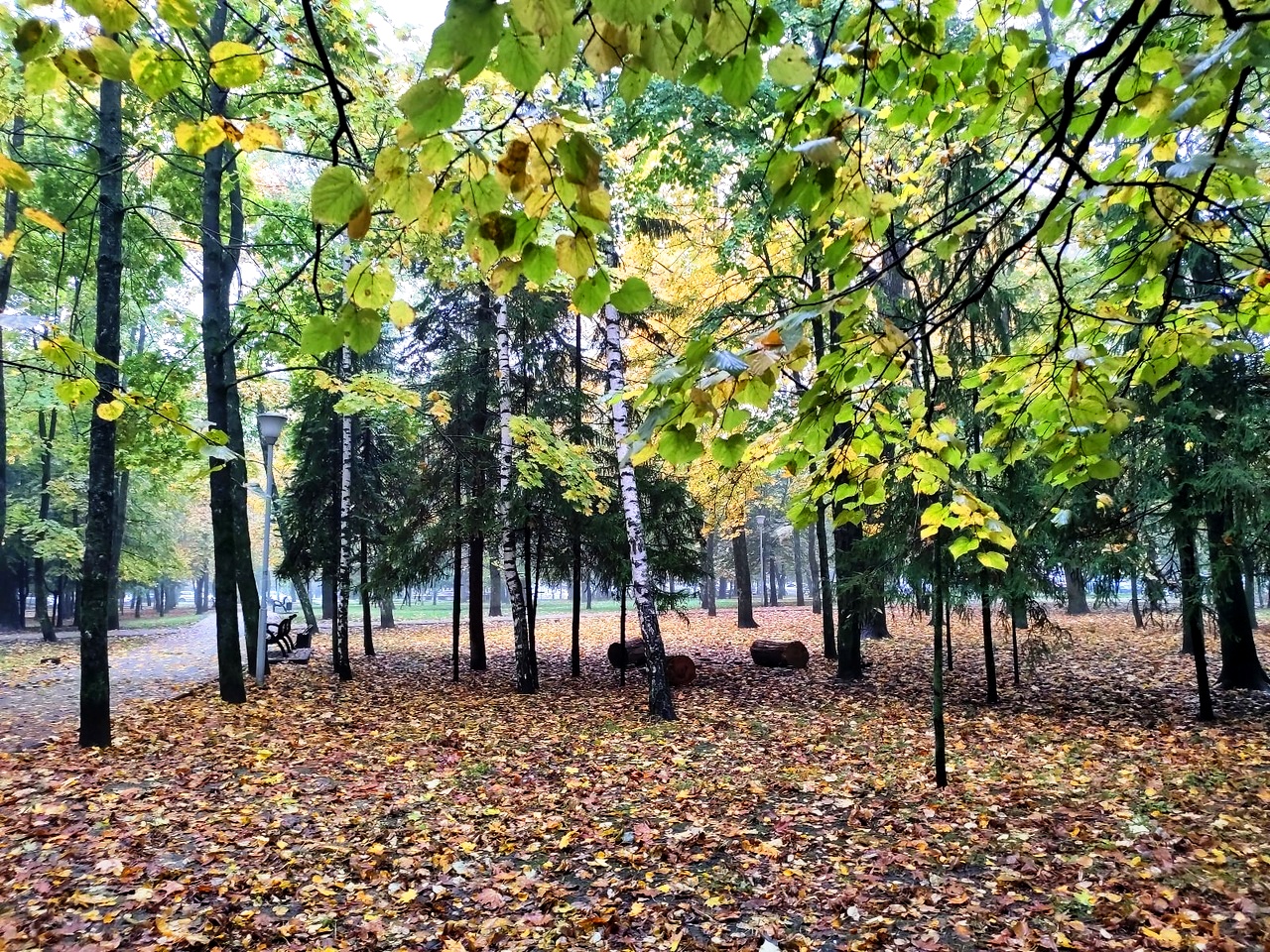 В Курске полторы сотни жителей убирали парк