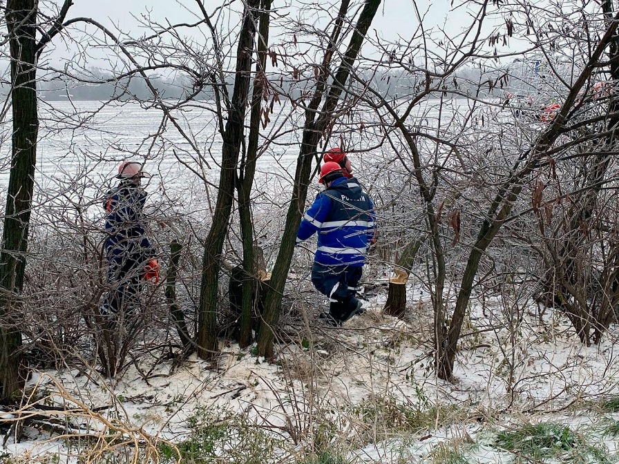 В Курской области продолжают устранять последствия ледяного дождя