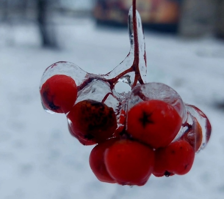 В Курской области ожидается ледяной дождь