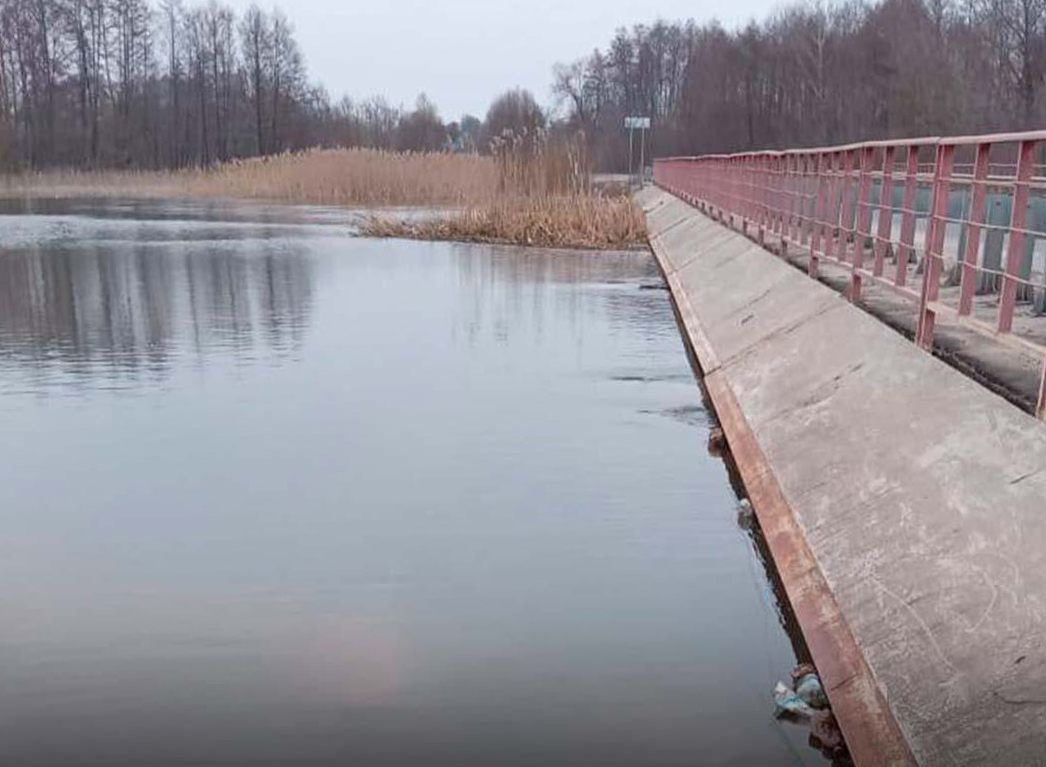 В Курской области из-за подъема воды в реке подтопило мост