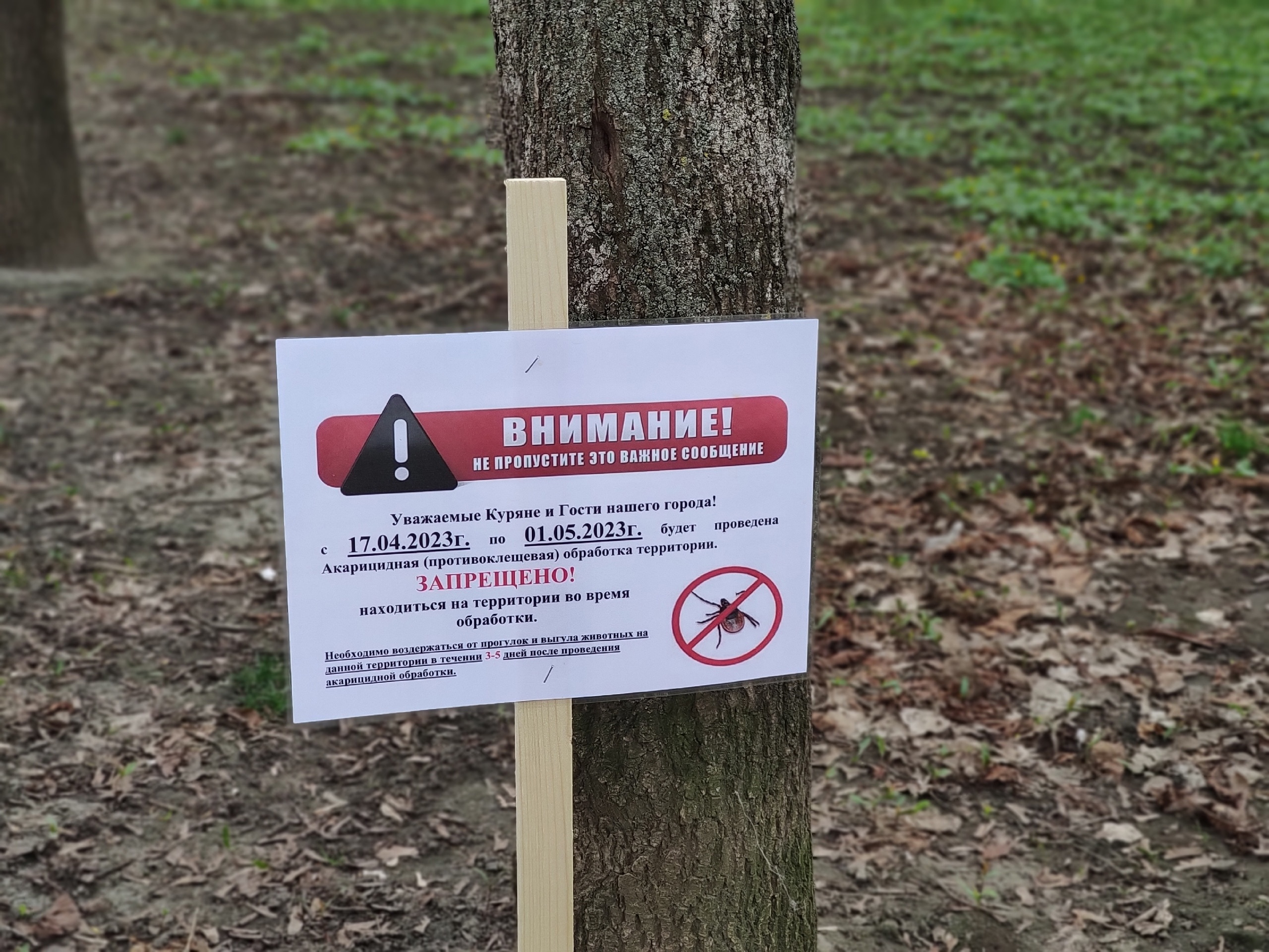 В Курской области запустят горячую линию по вопросам защиты от клещей