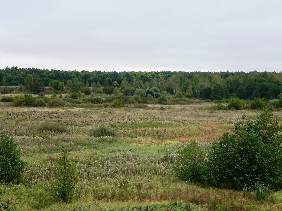 В Курской области появятся новые особо охраняемые природные территории