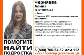 В Курске уже несколько дней ищут 13-летнюю девочку