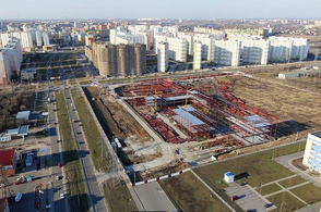 В Курске на проспекте Клыкова &laquo;заблудился&raquo; бобр