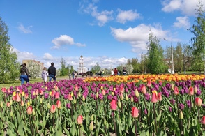 Жители Курска критикуют элементы городской среды
