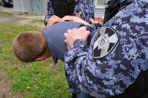 Житель Курска рискует отправиться под суд за битьё чужой машины