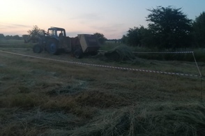 В Курской области выясняют подробности гибели тракториста