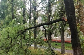 В Курской области ураган затронул 11 районов