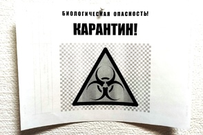 В Курской области обнаружен очаг АЧС