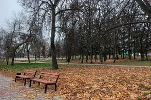 В Курскую область придёт потепление