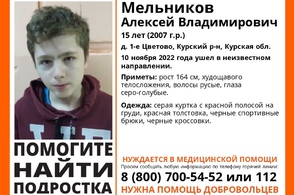 В Курской области пропал 15-летний подросток