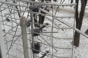 На помощь курским энергетикам пришли коллеги из 4 регионов