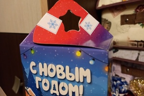 В Курске дети из семей льготных категорий получат новогодние подарки