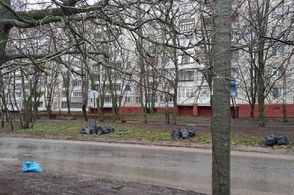В Курской области 8 и 22 апреля пройдут субботники