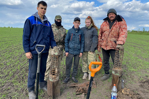 В Курской области во время межрегиональной Вахты Памяти обнаружены останки бойцов