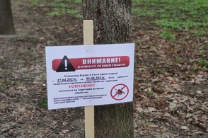 В Курской области запустят горячую линию по вопросам защиты от клещей