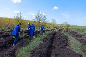 В Курской области прошла акция &laquo;Сад Памяти&raquo;