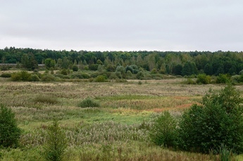 В Курской области появятся новые особо охраняемые природные территории