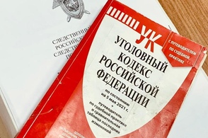 В Курской области мужчина приговорен к 15 годам лишения свободы