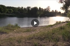 Курян поздравили с Днём эколога