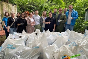 В Курском лесу собрали 4 кубометра мусора