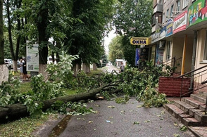 В Курской области устраняют последствия урагана
