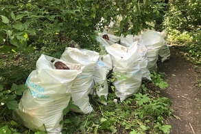Жители Курска могут помочь сделать город чище