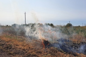 Курянам напоминают про особый противопожарный режим