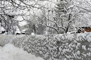 В Курской области 1 декабря пройдет сильный снегопад