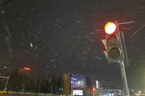 В Курской области 14 декабря пройдет сильный снегопад