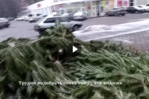 Куряне жалуются на ёлочную свалку