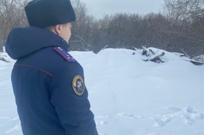 В Курской области расследуют гибель пожилой женщины