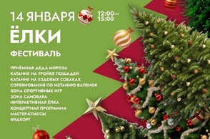 В Курской области отменили мероприятия из-за крепких морозов