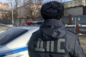 Курянин не смог добиться выплаты компенсации после ДТП с участием конной повозки