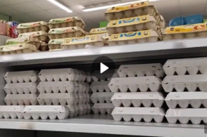 Эксперты назвали период снижения цен на куриные яйца
