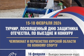В Курске пройдёт Чемпионат по конному спорту