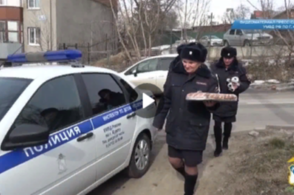 Курские стражи порядка освоили пекарское дело к празднику 8 марта