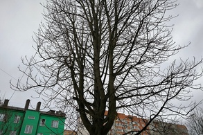 В небе над Курском и Курской областью работает ПВО