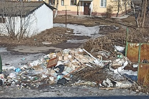 В Курске не убирают придворовые территории