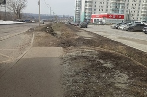 Куряне идут до остановки по проезжей части ввиду отсутствия тротуара