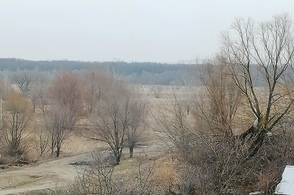 Следующая неделя в Курске начнётся с обильных осадков