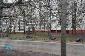 В Курской области субботники пройдут в грядущие выходные