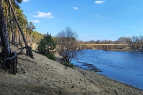 В Курской области на водоемах начался нерест