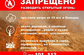 Курян призывают не разжигать костры