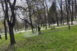 В Курске 10 и 11 апреля продолжат обрабатывать парки от клещей