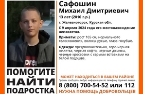Пропавший мальчик Миша найден живым