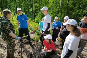 В Конышевском районе высадили около 3,5 тысячи саженцев
