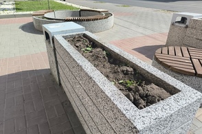 В Курске после огласки в СМИ пропололи сорняки на городских клумбах