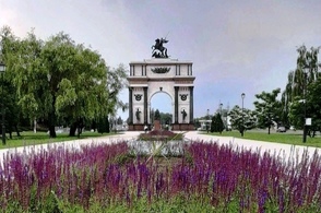 В Курске ликвидируют поросль борщевика