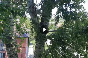 В Курской области объявлена ракетная опасность!